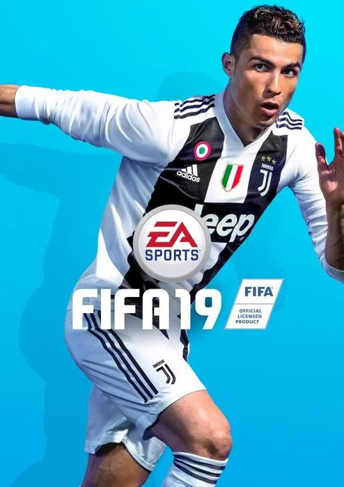 FIFA 19 Steam (offline)